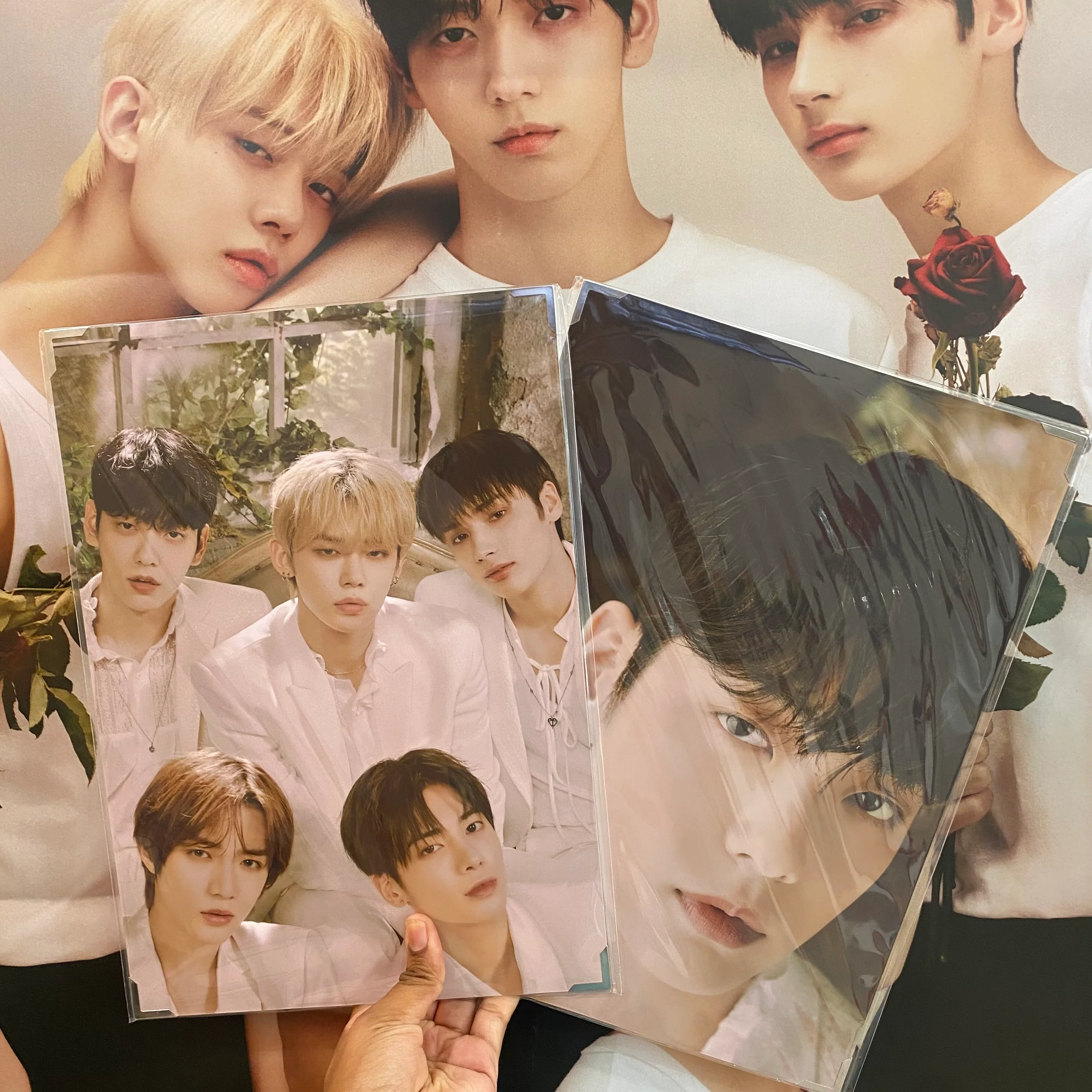 PREMIUM PHOTOS